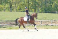 cascarda_gal_dsc04404