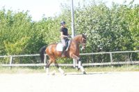 cascarda_gal_dsc04427