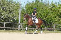 cascarda_gal_dsc04546
