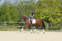 cascarda_gal_dsc04795