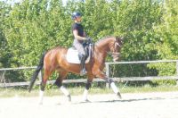 cascarda_gal_dsc04917