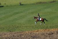 cascarda_gal_dsc05119