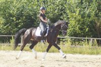 diocello_gal_dsc07483
