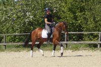 fantina_gal_dsc03676
