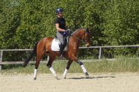fantina_gal_dsc03681