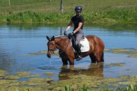 fantina_gal_dsc04177