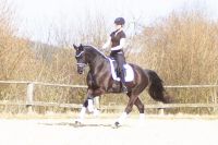 fiorello_gal_dsc01443