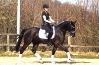 fiorello_gal_dsc02237