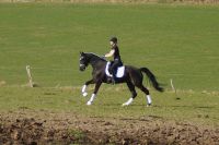 fiorello_gal_dsc02331