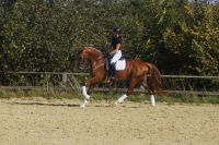 floreana_gal_dsc06000