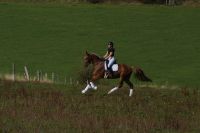 floreana_gal_dsc06794