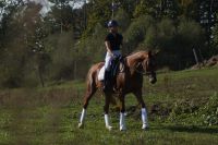 floreana_gal_dsc06940