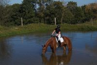 floreana_gal_dsc06971