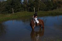 floreana_gal_dsc07018