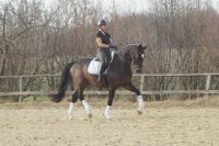 foursocks_gal_dsc00488