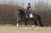 foursocks_gal_dsc00878