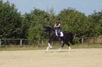 levandano_gal_dsc06020