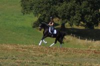 levandano_gal_dsc06797