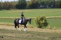 levandano_gal_dsc06914