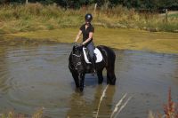 levandano_gal_dsc07005